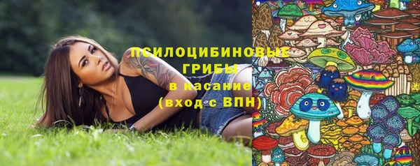 альфа пвп Гусев