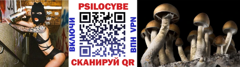 Галлюциногенные грибы мицелий  Купить закладки  Кирово-Чепецк 